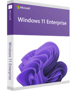 Windows 11 enterprise